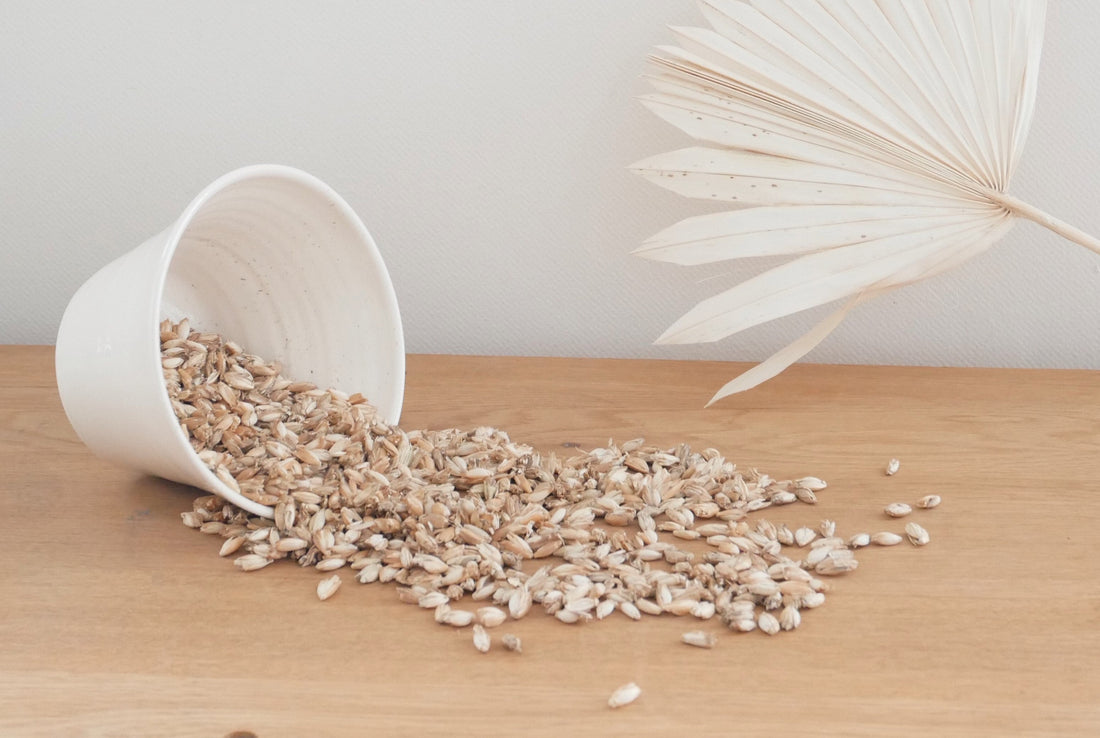 Balles d'épeautre biologique